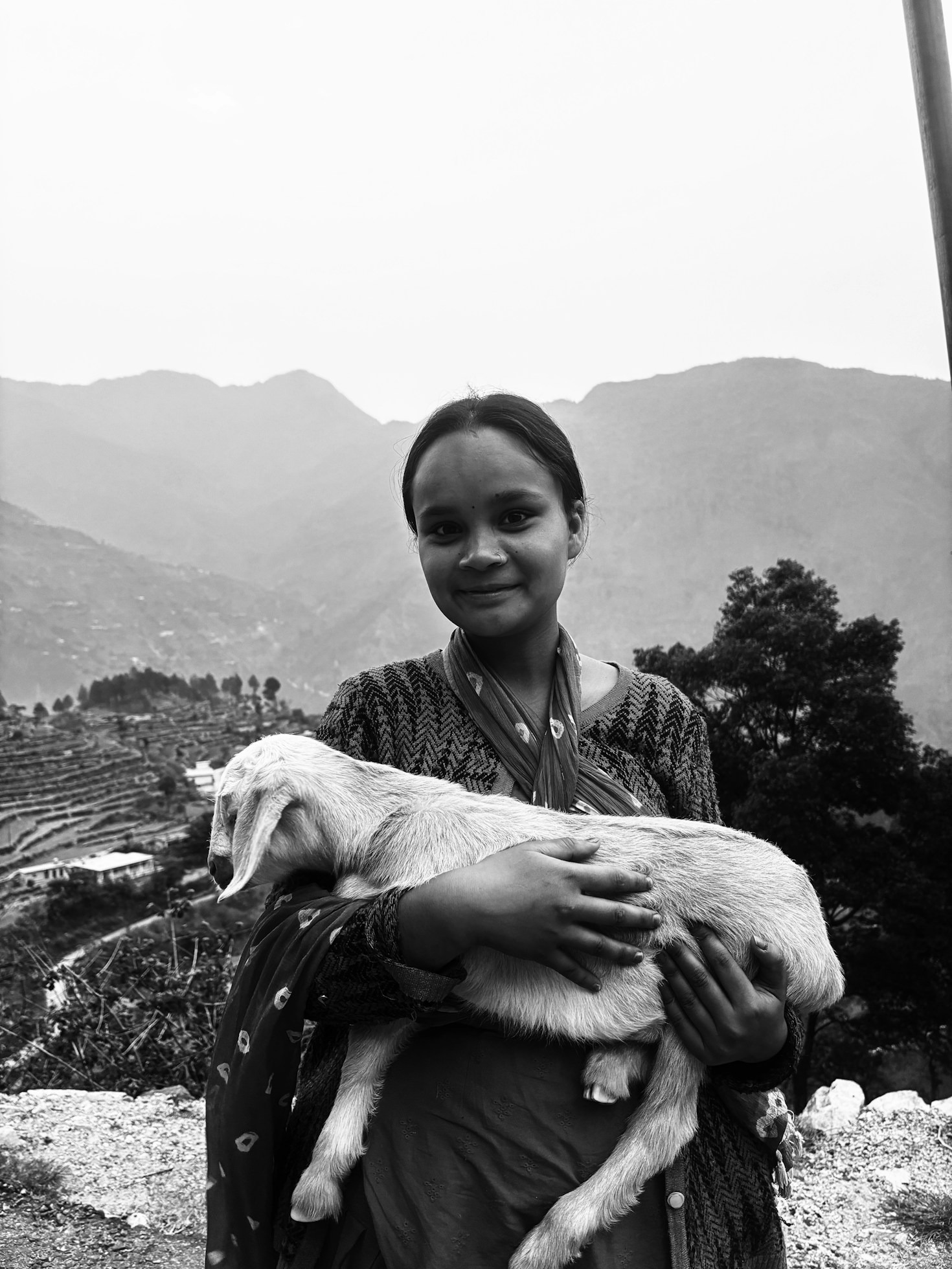 Historias de campo: anécdotas inolvidables con cabritas juguetonas